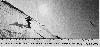 20041231_fw.jpg