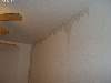 DSC06991.JPG