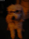 DSC00368.JPG