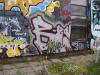 DSC00006.jpg