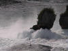 DSC00055.jpg